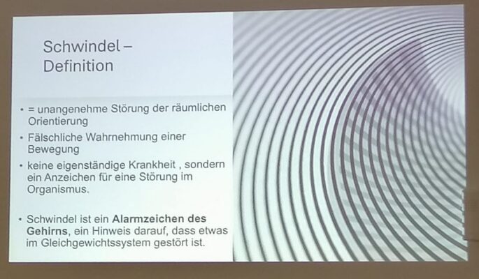 Definition Schwindel