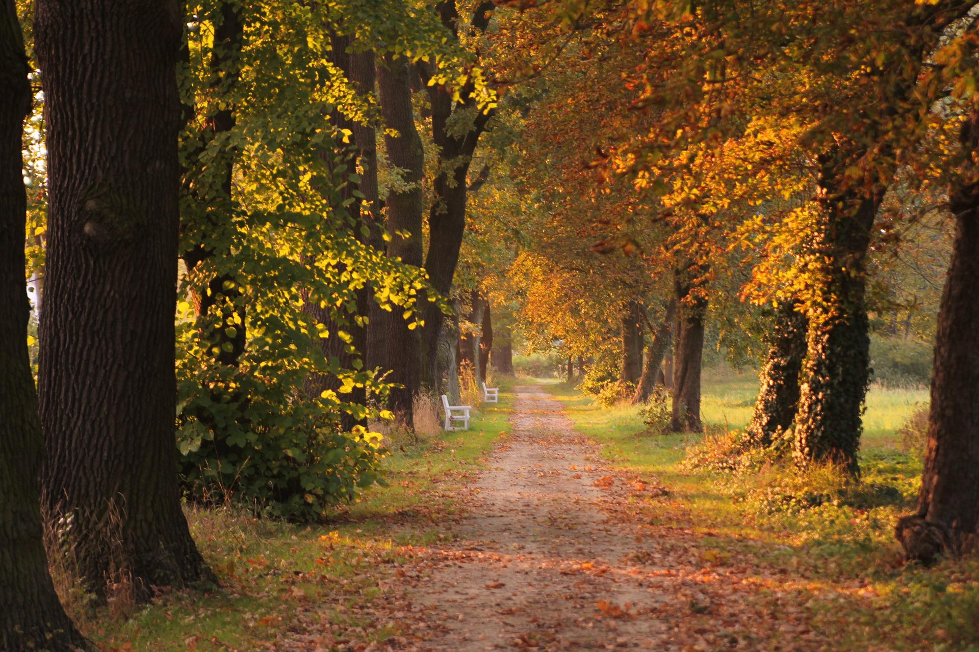 Kräuterwanderung