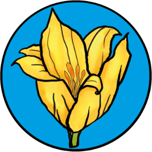 Wildtulpe – Mösthinsdorfer Heimatverein e. V.